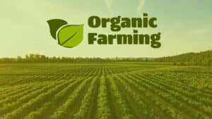 Sustainable organic farm supplying fresh veggies and fruits – Manual Sync