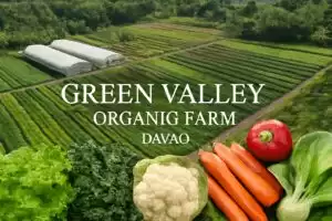Certified organic farm with diversified crops and established distribution network